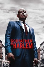 Godfather of Harlem: Sezoni 1