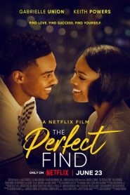 The Perfect Find (2023)